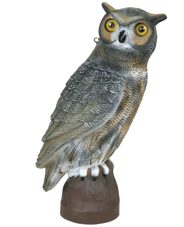 17" Owl