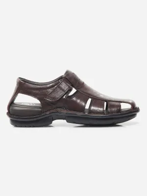 Men Brown Sandal / Slipper (ID4209)